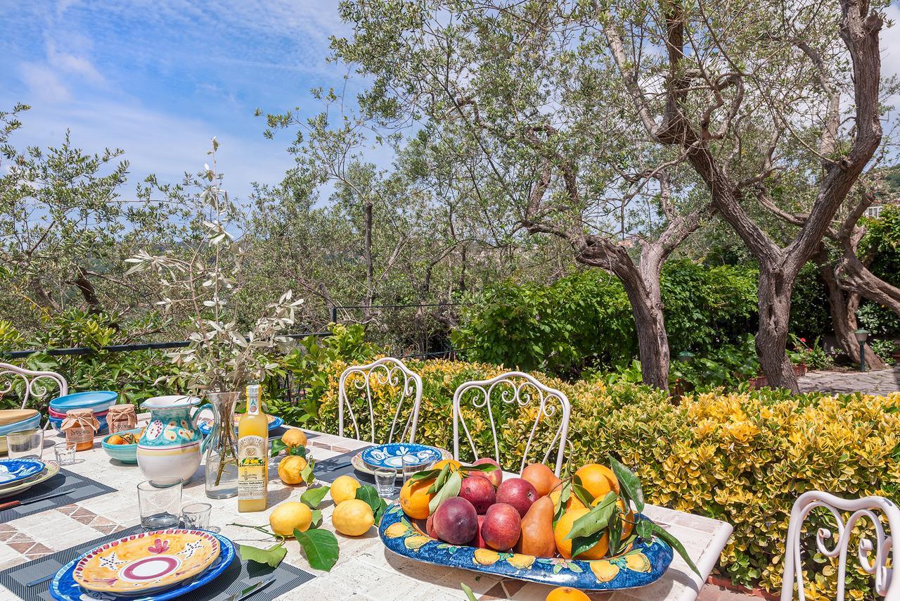Villa Alfonsina ماسّا لوبْرينسِ المظهر الخارجي الصورة